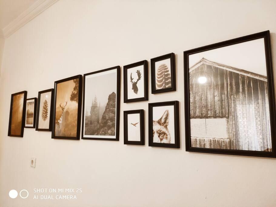 Evaggelia'S Apartments 1 Διαμονή Στο Κέντρο Kozani Buitenkant foto